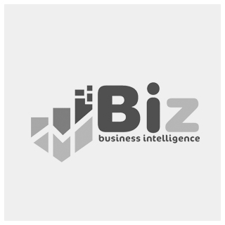 BIZ - Data analytics